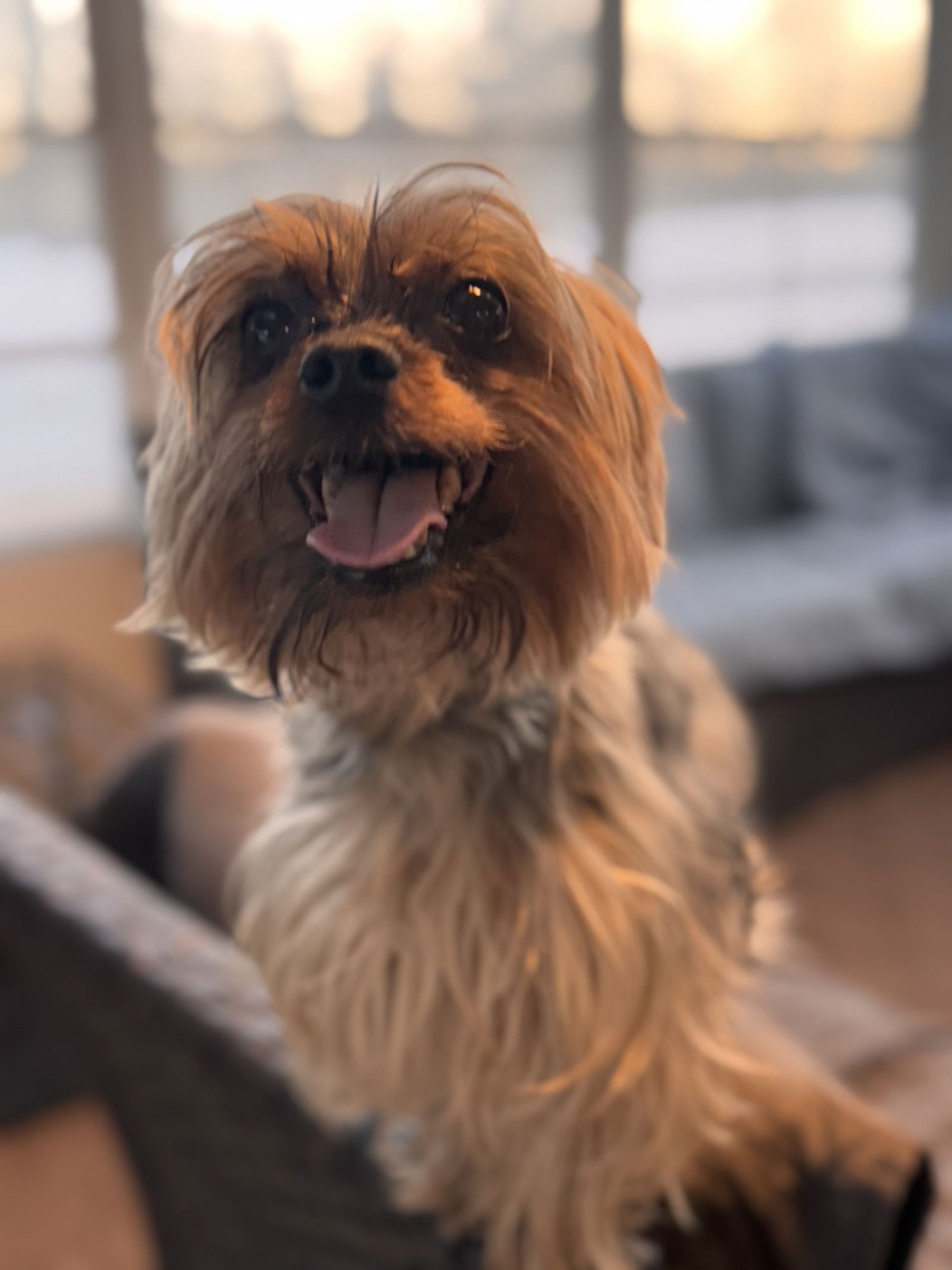 Zeke & Zulu - Photo 3