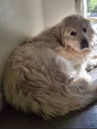 Ghost - Photo 2