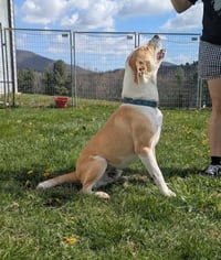 George - Photo 2