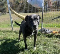 Isabelle - Photo 4