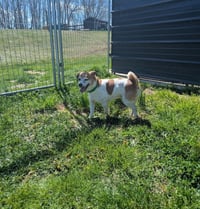 Radar - Photo 3