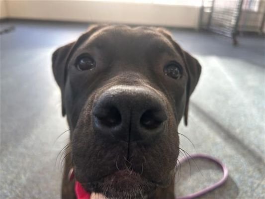 Elizabeth - Photo 11