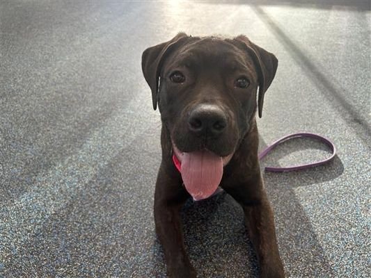 Elizabeth - Photo 12