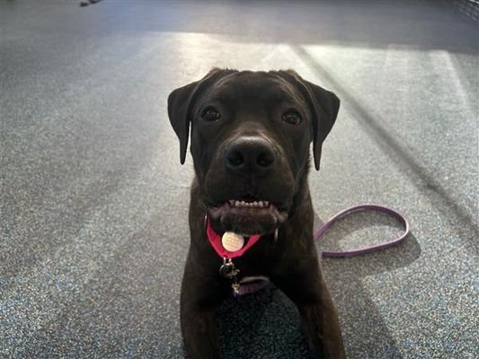 Elizabeth - Photo 13