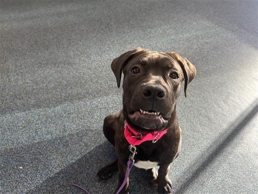 Elizabeth - Photo 14