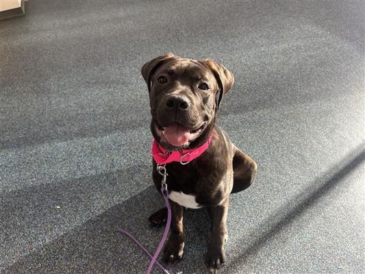 Elizabeth - Photo 15