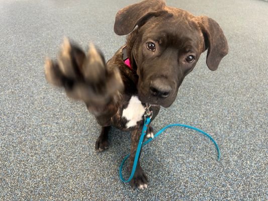 Elizabeth - Photo 10