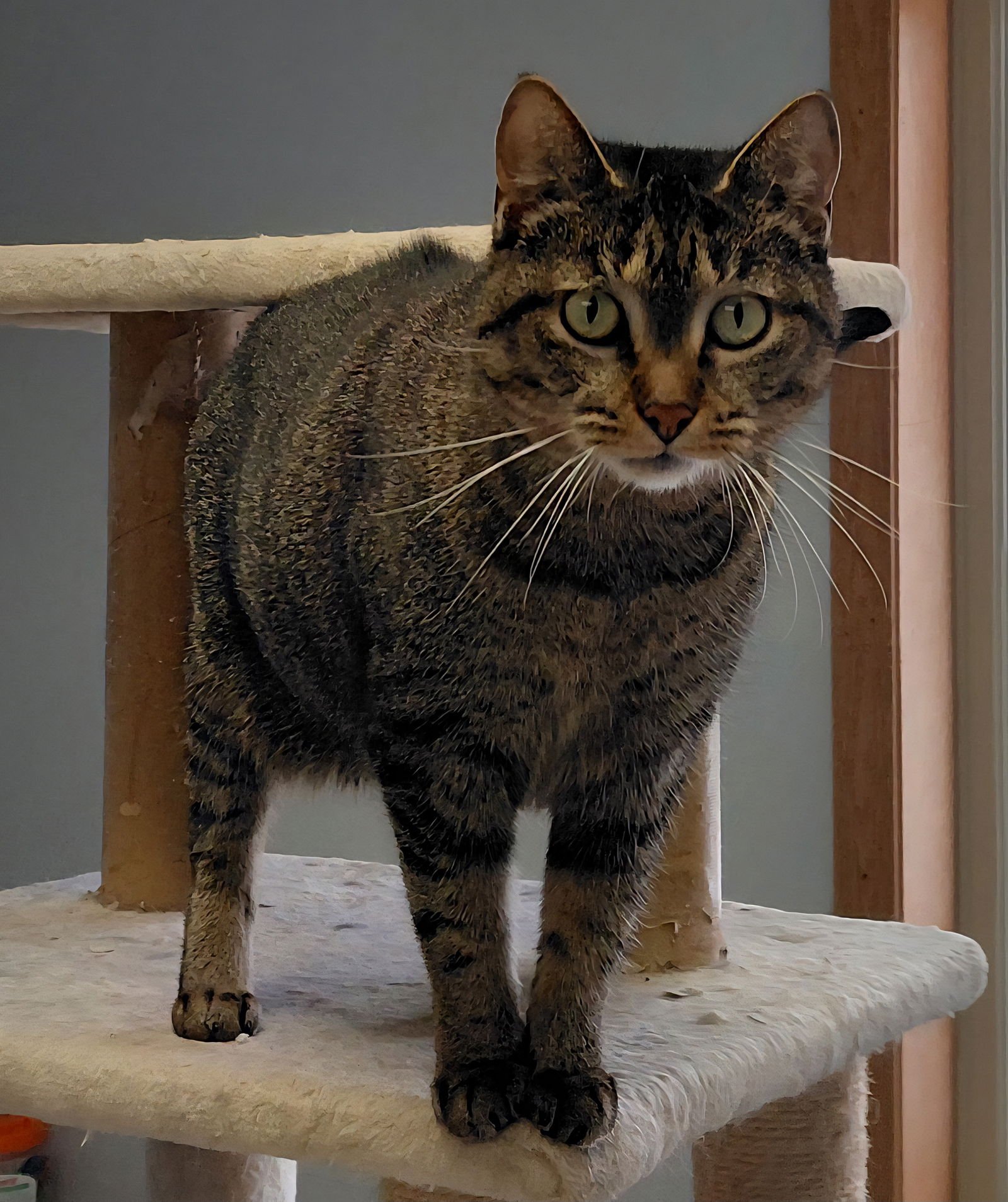 Butters @ The Cat's Brew - Photo 4