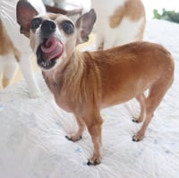 Miss Margaret - Photo 5