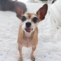 Miss Margaret - Photo 3