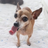 Miss Margaret - Photo 2