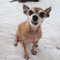 Miss Margaret - Photo 4