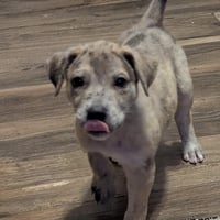 Stormi - Photo 5
