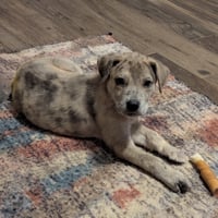 Stormi - Photo 3