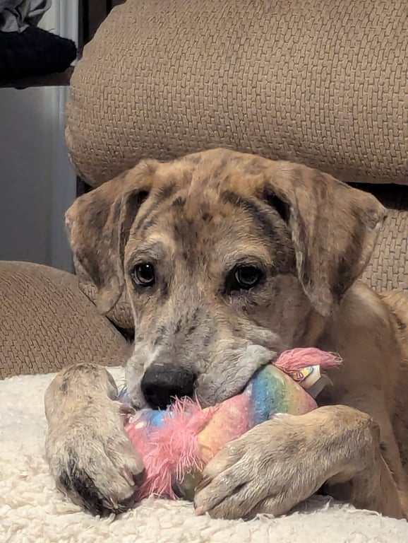 Stormi Image