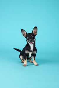 Matilda - Photo 4