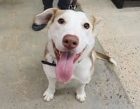 Tucker - Photo 2