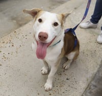 Tucker - Photo 5