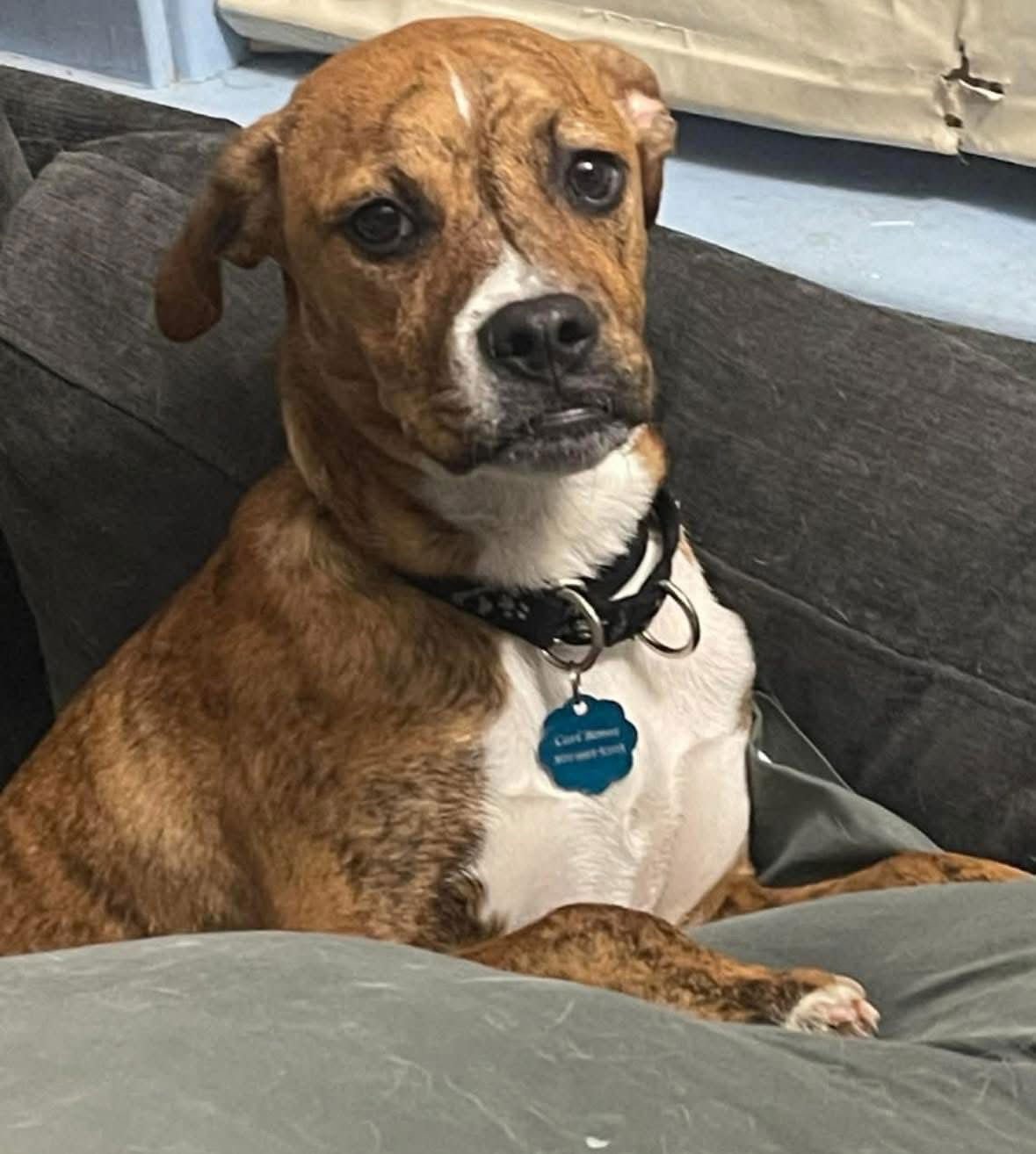 Mr. Carl Bones *In New England - Photo 3