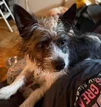 Chewy - Photo 2