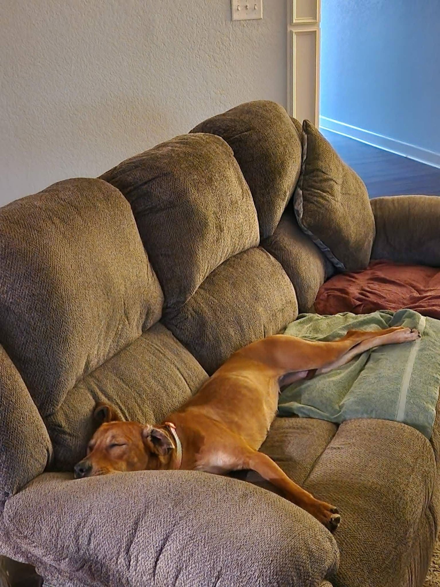 Lady **URGENT** - Photo 3