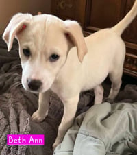 Beth Ann - Photo 1