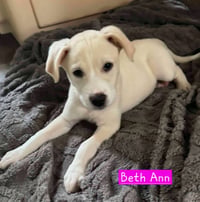 Beth Ann - Photo 2