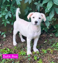 Beth Ann - Photo 3