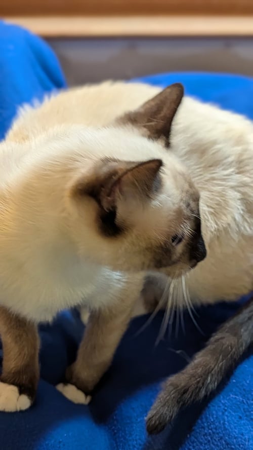 YUKI
