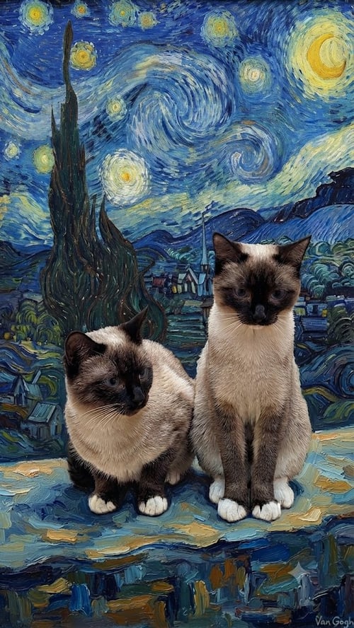 LIORA - Siamese available for adoption