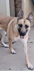JANIE - Photo 3