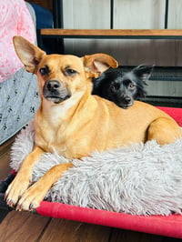 Milton and Marvin - Photo 4