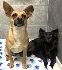 Milton and Marvin - Photo 1