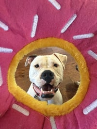 Chance - Photo 5