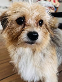 GiGi - Photo 4