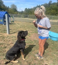 Buddy - Photo 2