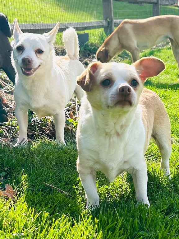 Casper & Tubbz Image