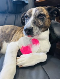 Puppers - Photo 4