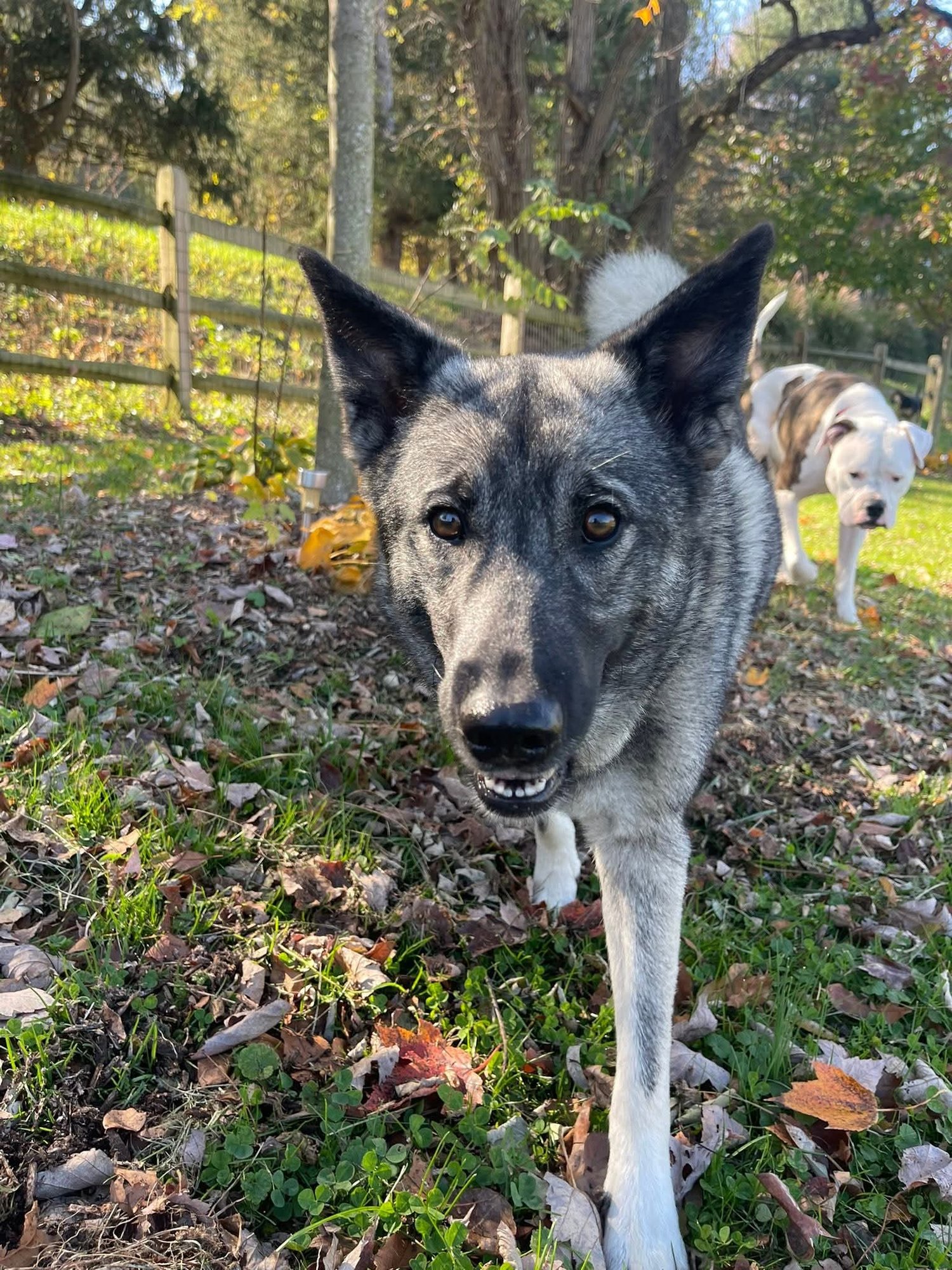 Bryn - Photo 2