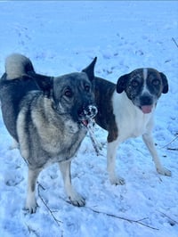 Bryn - Photo 7