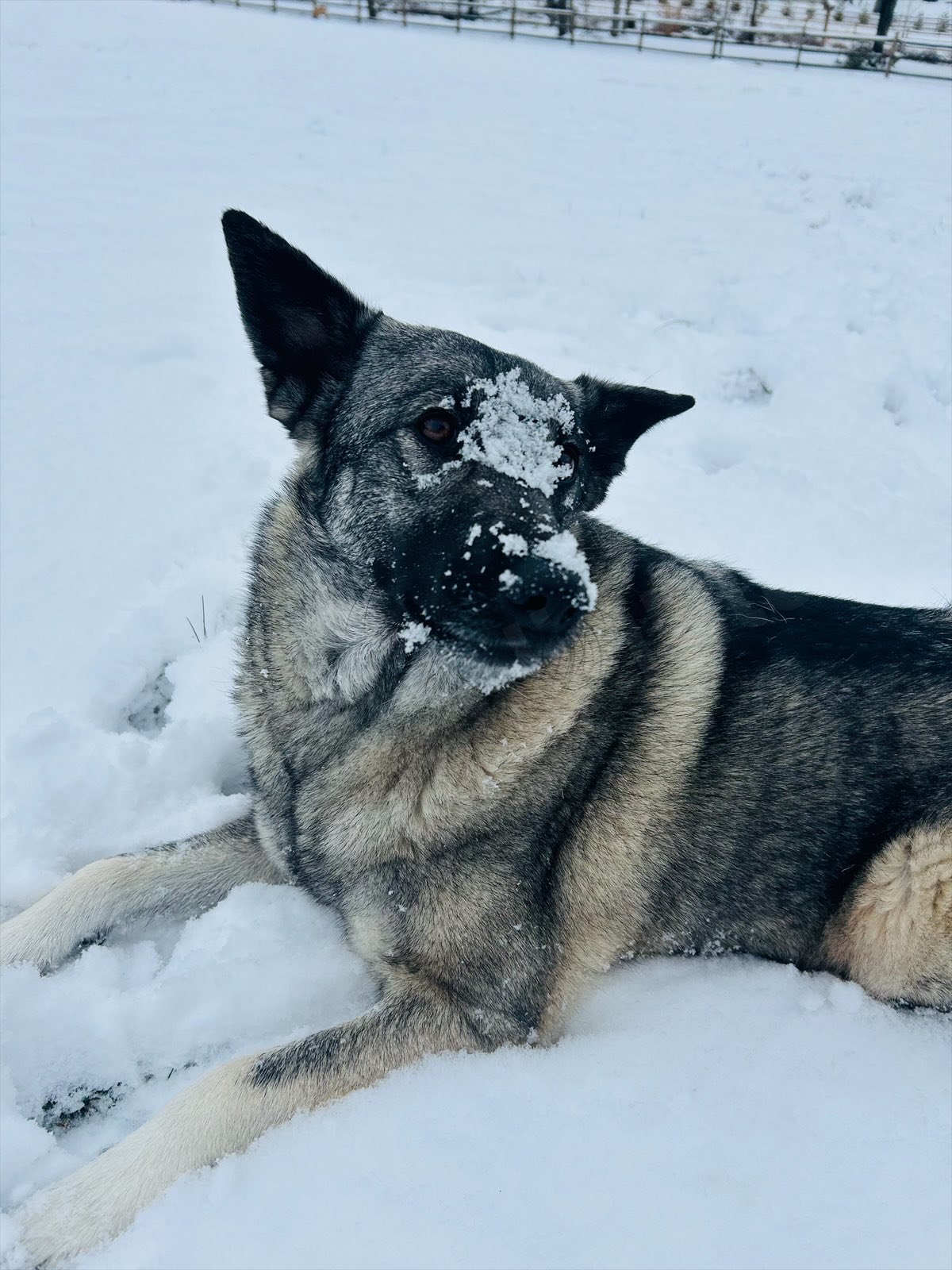 Bryn - Photo 6
