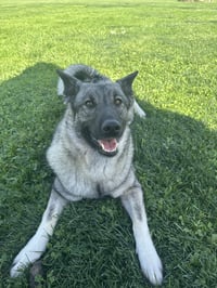 Bryn - Photo 5