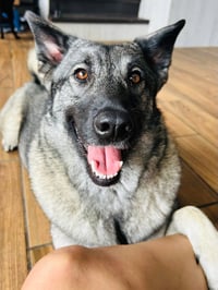 Bryn - Photo 4