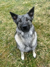 Bryn - Photo 3