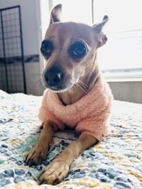 Precious - Photo 4