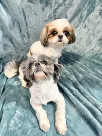 Camper & Carlie - Photo 2