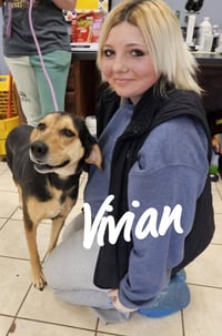 Vivian - Photo 8