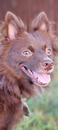 CoCo - Photo 5