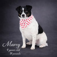 Marcy - Photo 6