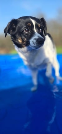 Marcy - Photo 3